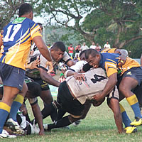 Sheer passion the motivating factor for Nadroga